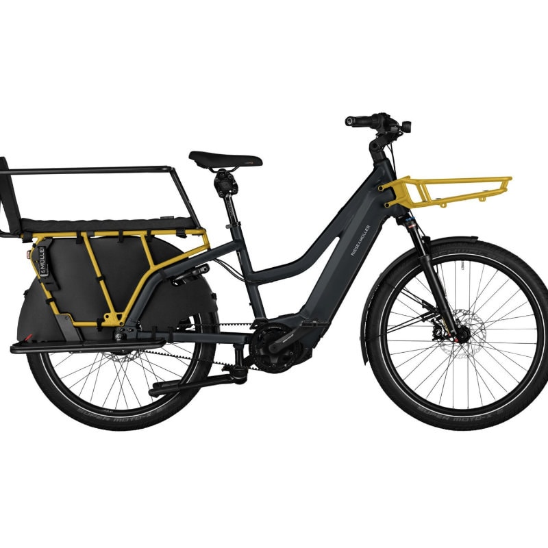 Riese und Müller Multicharger2 mixte gt vario E-Lastenrad